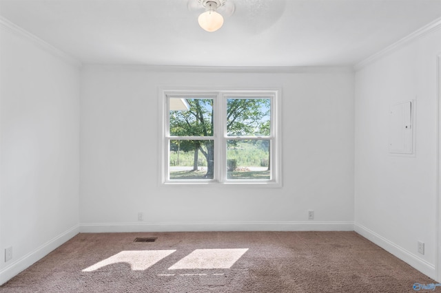 spare room with carpet and ornamental molding