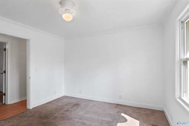 carpeted spare room featuring crown molding