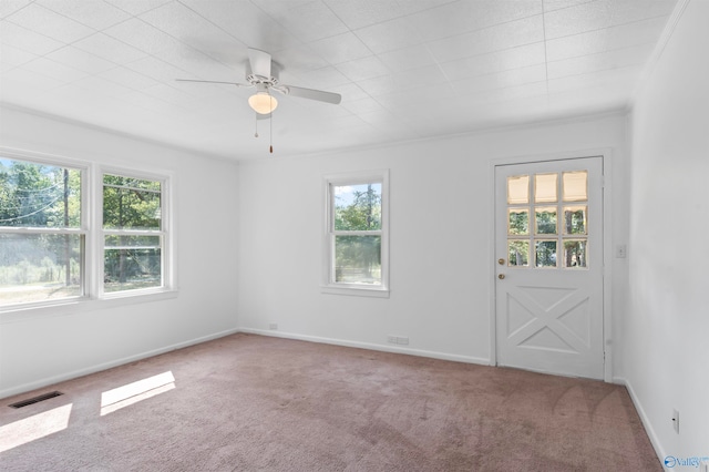 spare room featuring a wealth of natural light, crown molding, and carpet floors