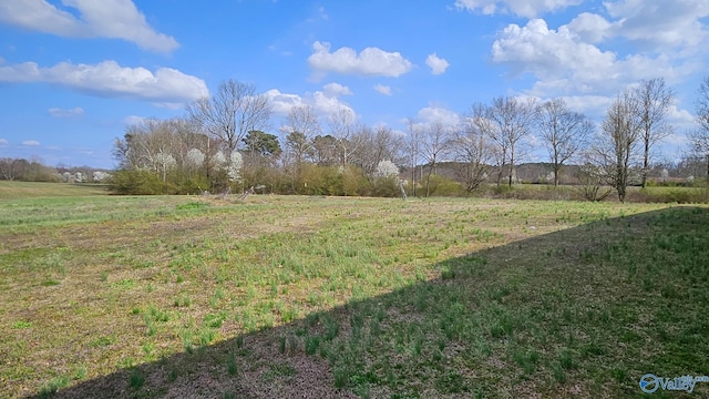 view of yard featuring a rural view