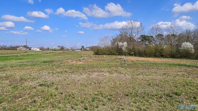 view of yard with a rural view