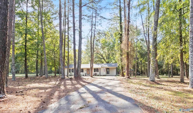 3374 Old Moulton Rd SW, Decatur, AL 35603 - view of front of house with driveway and a wooded view
