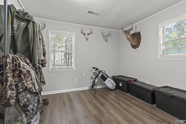 3374 Old Moulton Rd SW, Decatur, AL 35603 - playroom featuring wood finished floors, crown molding, plenty of natural light, and a textured ceiling