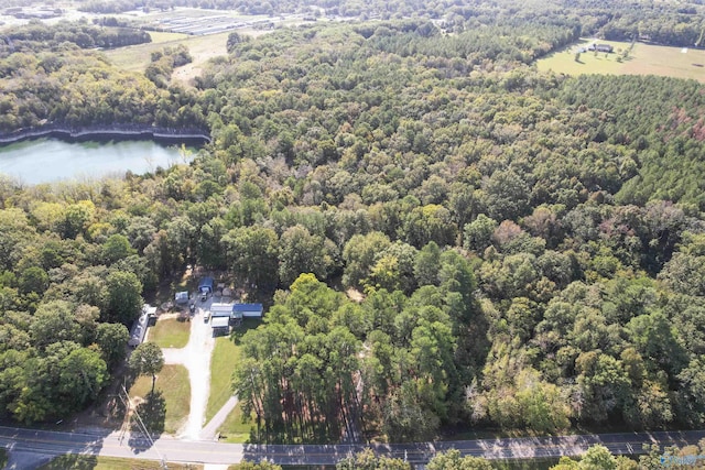 3374 Old Moulton Rd SW, Decatur, AL 35603 - aerial view of a forest and a nearby body of water