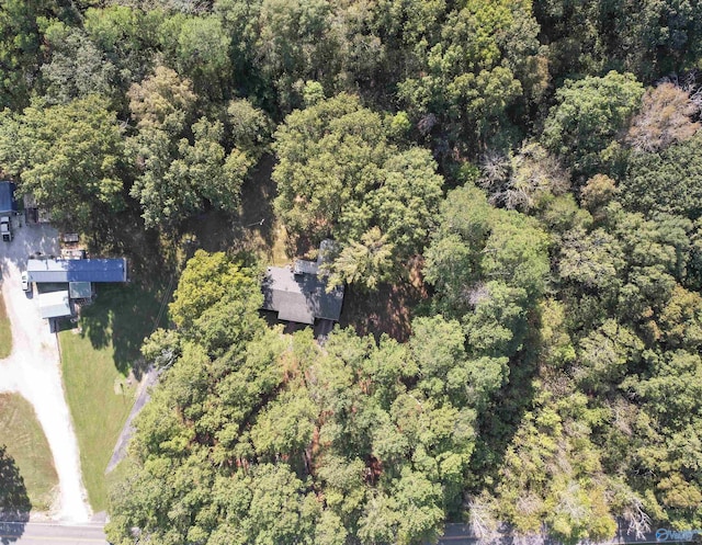 3374 Old Moulton Rd SW, Decatur, AL 35603 - aerial overview of property's location featuring a forest