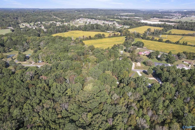 3374 Old Moulton Rd SW, Decatur, AL 35603 - aerial overview of property's location with a forest