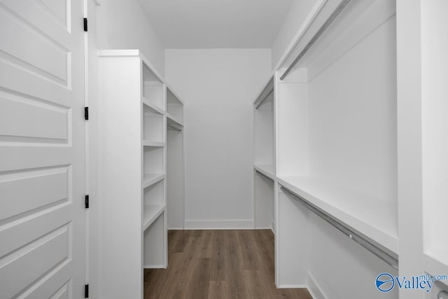 spacious closet with dark wood-type flooring