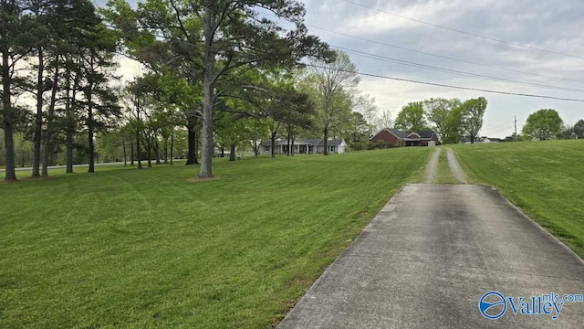 view of road with driveway