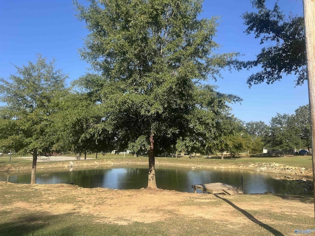 1020 County Road 92, Cedar Bluff, AL 35959 - water view