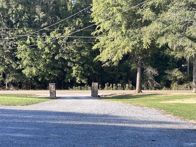1020 County Road 92, Cedar Bluff, AL 35959 - view of road