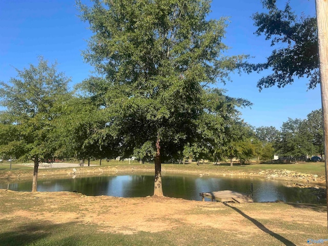 view of water feature