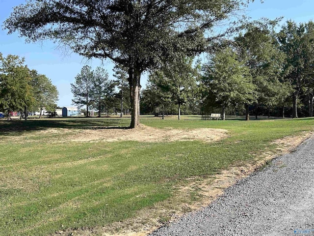 1020 County Road 92, Cedar Bluff, AL 35959 - view of grassy yard