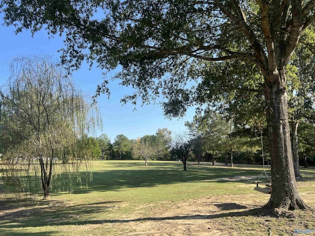 1020 County Road 92, Cedar Bluff, AL 35959 - view of green lawn