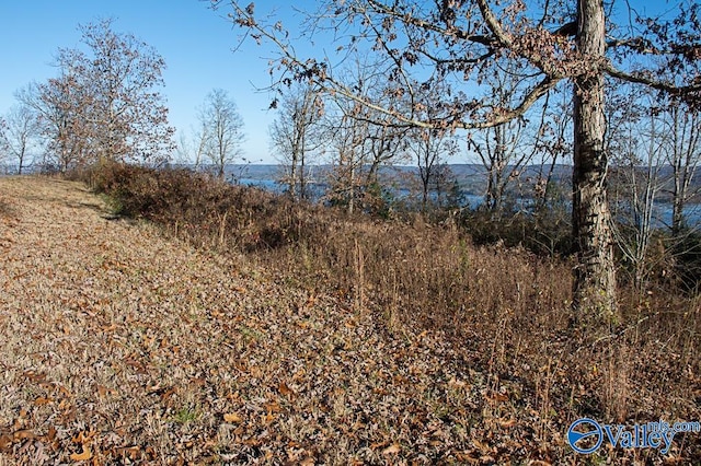 Listing photo 2 for LOT10 Keene Point Dr, Grant AL 35747