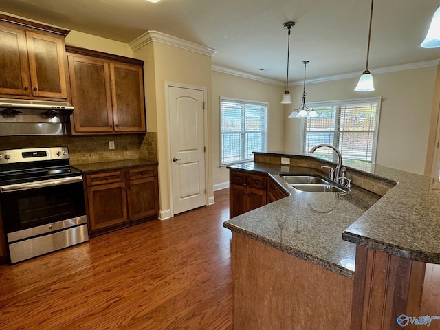 kitchen featuring crown molding, electric range, dark wood-type flooring, a sink, and under cabinet range hood