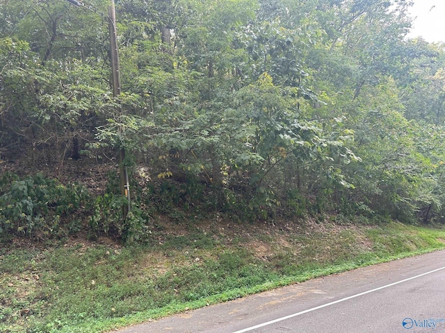 Listing photo 2 for LOT18 Lusk St, Guntersville AL 35976