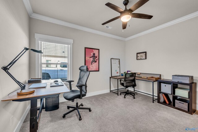 carpeted office featuring crown molding and ceiling fan