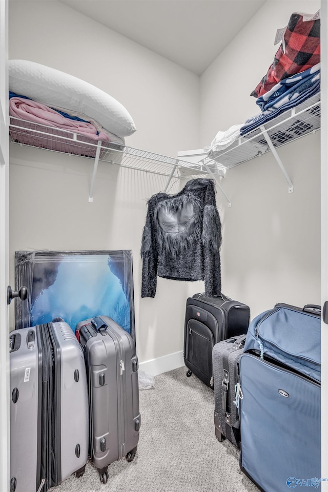 walk in closet with light colored carpet