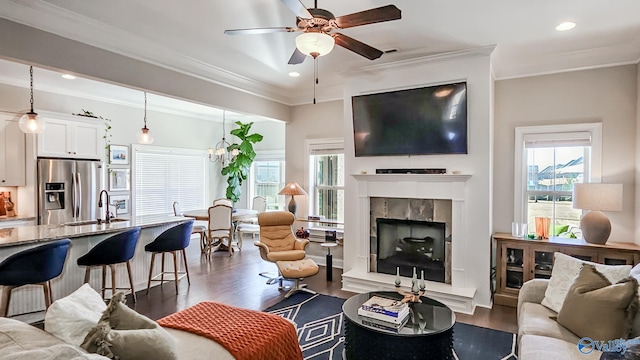 living area featuring a fireplace, dark wood-style floors, a healthy amount of sunlight, and ornamental molding