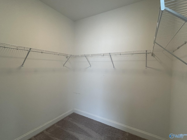 4359 Willow Bend Ln SE, Owens Cross Roads, AL 35763 - spacious closet with dark colored carpet