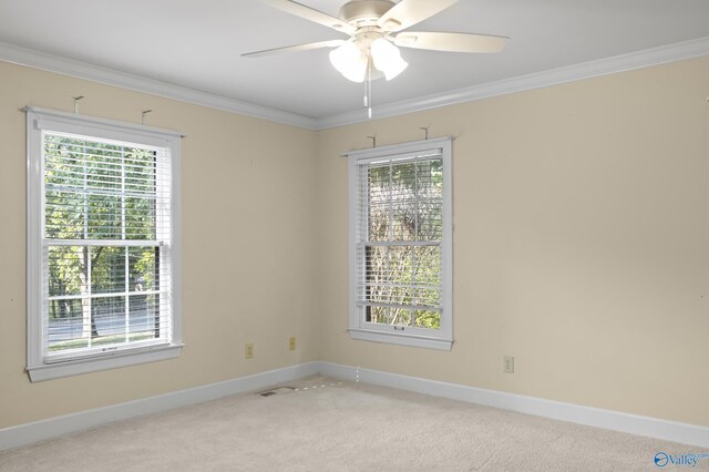 carpeted spare room with ceiling fan, a wealth of natural light, and crown molding