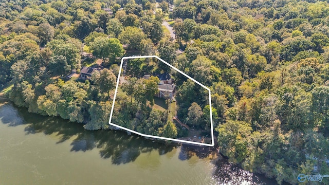 411 Darby Ave, Sheffield, AL 35660 - birds eye view of property featuring a wooded view and a water view