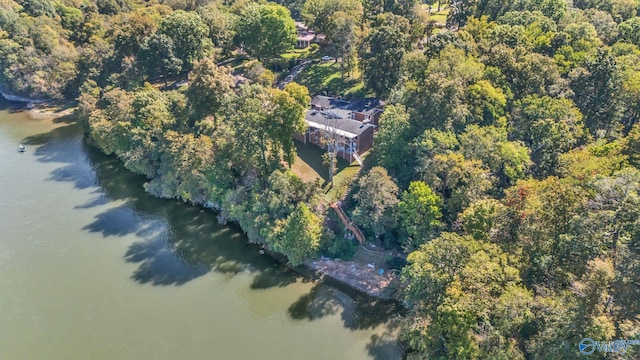 411 Darby Ave, Sheffield, AL 35660 - birds eye view of property with a water view and a wooded view