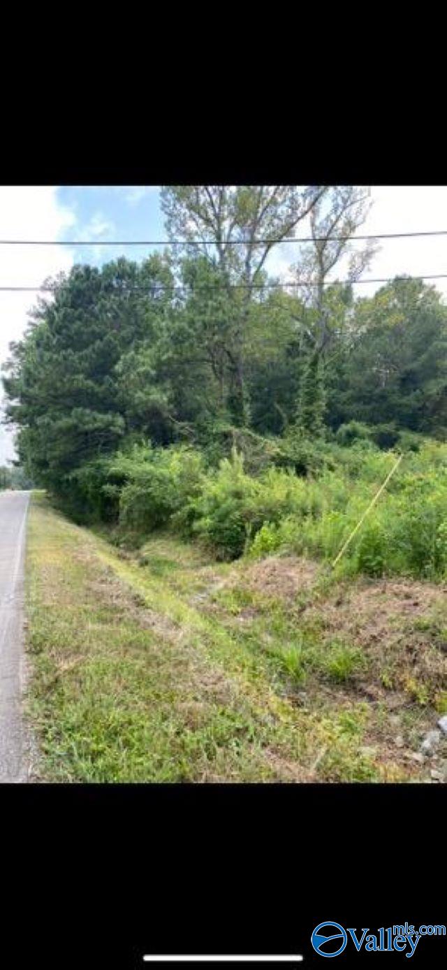 1.49ACRES Tabor Rd, Gadsden AL, 35904 land for sale