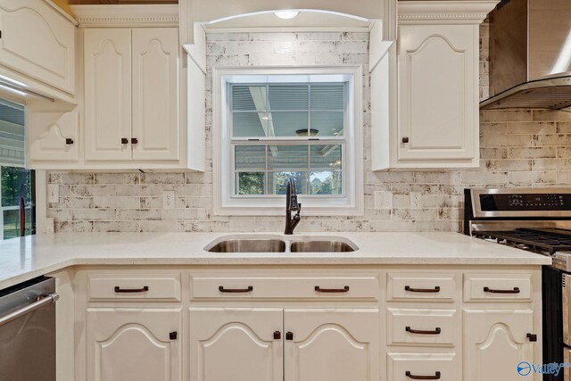 kitchen featuring appliances with stainless steel finishes, decorative backsplash, wall chimney range hood, and sink