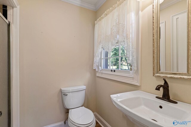 bathroom with sink, crown molding, and toilet