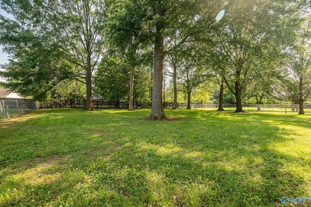 142 Raspberry Way, Madison, AL 35757 - view of fenced backyard