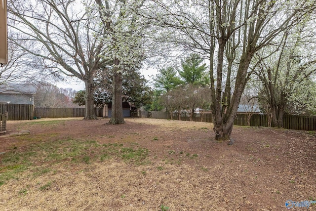 view of yard with a fenced backyard