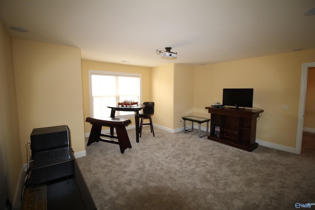 sitting room featuring carpet flooring