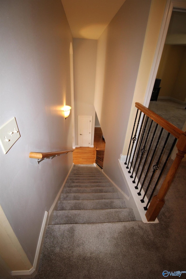 stairway featuring a high ceiling and carpet floors