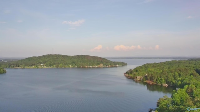 LOT1 County Road 594, Leesburg, AL 35983