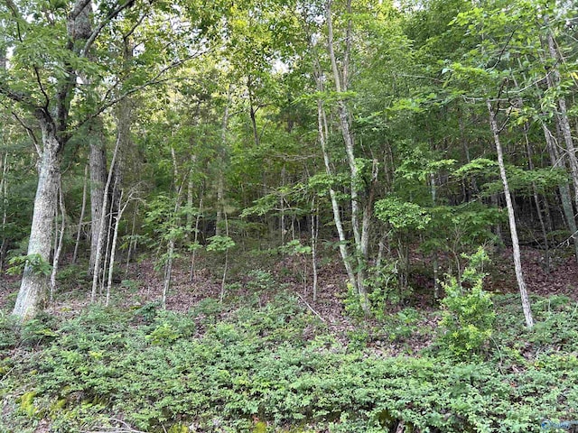 LOT1 County Road 594, Leesburg, AL 35983