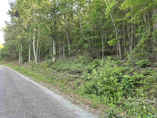 LOT1 County Road 594, Leesburg, AL 35983