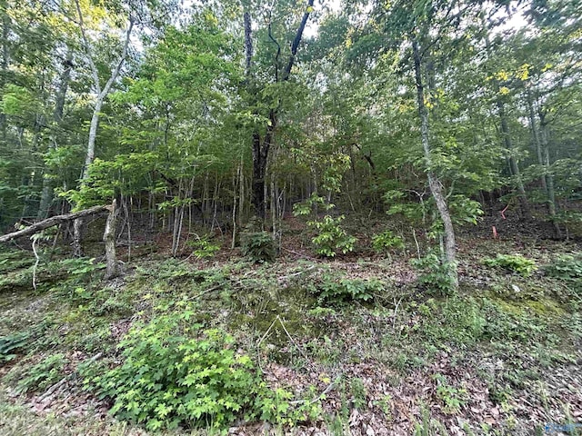 LOT1 County Road 594, Leesburg, AL 35983