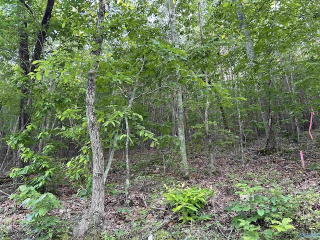 LOT1 County Road 594, Leesburg, AL 35983