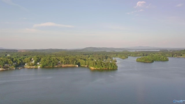 LOT1 County Road 594, Leesburg, AL 35983