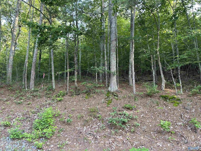 LOT1 County Road 594, Leesburg, AL 35983