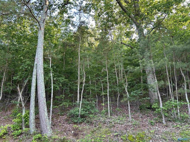 LOT1 County Road 594, Leesburg, AL 35983