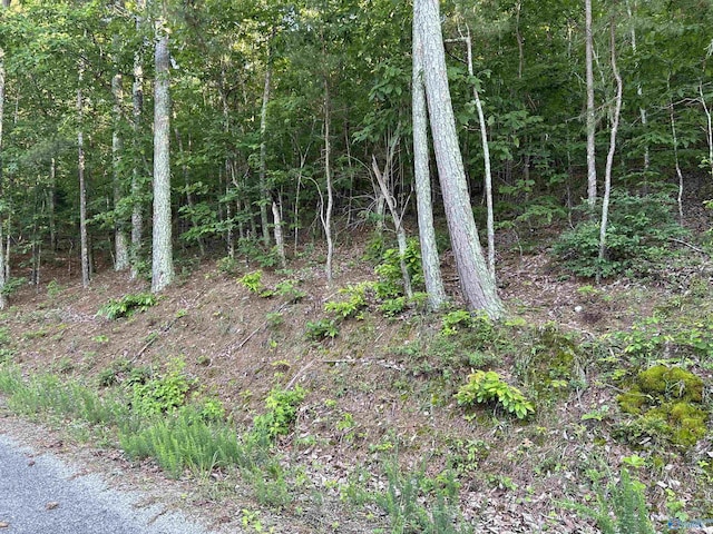 LOT1 County Road 594, Leesburg, AL 35983