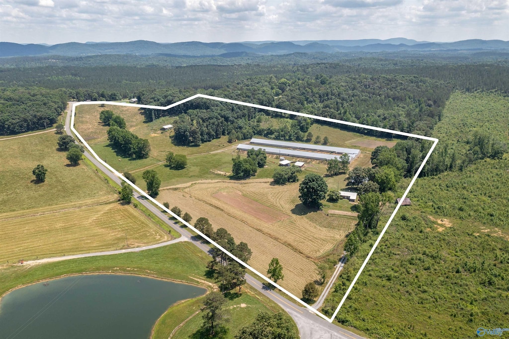 bird's eye view featuring a water and mountain view