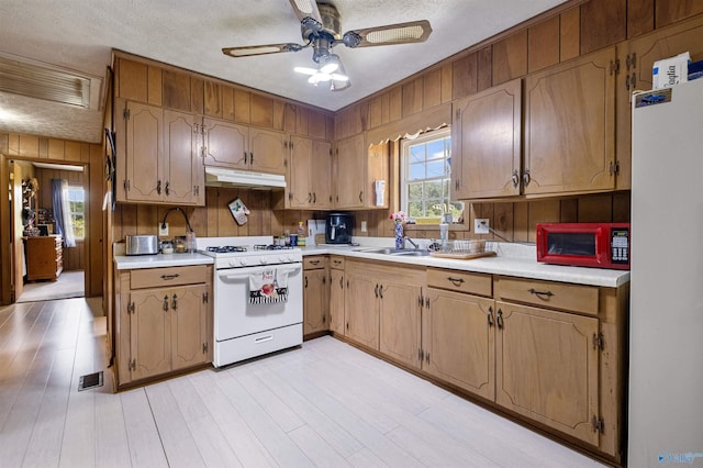 kitchen featuring wood walls, sink, ceiling fan, light hardwood / wood-style floors, and white appliances