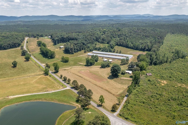 birds eye view of property featuring a water and mountain view