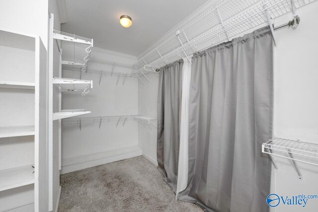 spacious closet featuring light carpet