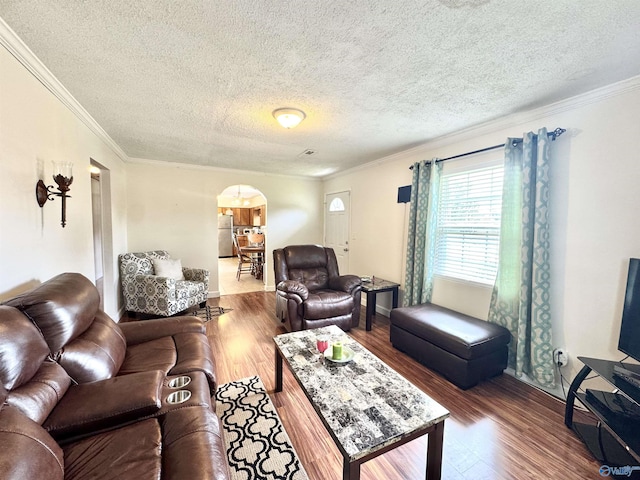 32 Kirby Rd, Hillsboro, AL 35643 - living area with wood finished floors, ornamental molding, a textured ceiling, baseboards, and arched walkways
