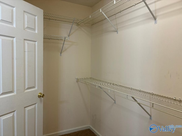 view of spacious closet