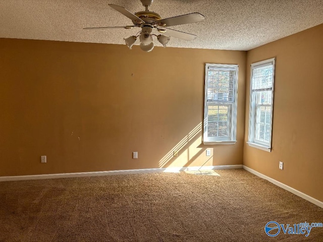 empty room featuring carpet, ceiling fan, and a textured ceiling